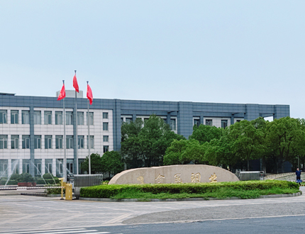 <strong>銅陵有色金屬集團金冠銅業(yè)項目</strong>